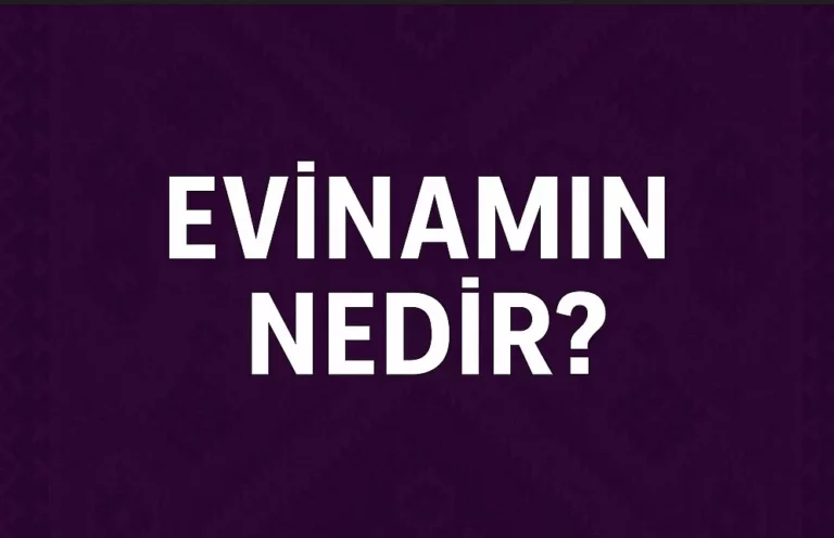 Evinamın Ne Demek? Kürtçe Türkçe Çevirisi, Anlamı ve Kullanımı
