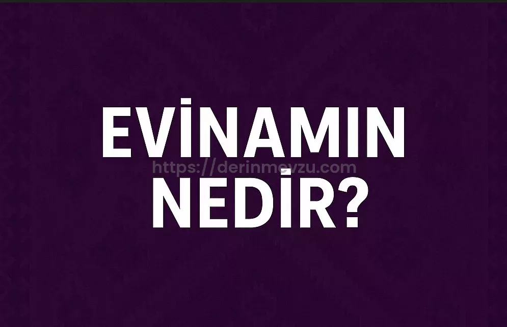 Evinamın Ne Demek? Kürtçe Türkçe Çevirisi, Anlamı ve Kullanımı 1 Evinamın Ne Demek? Kürtçe Türkçe Çevirisi, Anlamı ve Kullanımı
